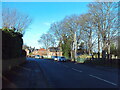 Summer Lane, Wombwell (2) in S73 8HS