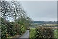 Woodhouse Lane taking the East Devon Way down to Uplyme in DT7 3SN