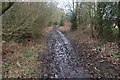 Damp restricted byway in Swanton Novers