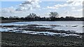 Flooded farmland opposite The Still, Barton Road, Wisbech in PE13 4TD