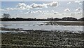 Flooded farmland west of Wisbech off Barton Road in PE13 4TD
