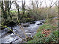 Rhyd Afon Gafel/ Afon Gafel ford in SA34 0YD