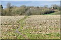 Field path with High Hall in the distance in BH21 4HY