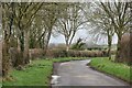 Lane west of the entrance to Lower Barford Farm in BH21 4BY