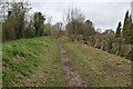 Path on former railway embankment, approaching Newton Road in BH21 4AF