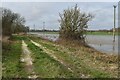 Flooded meadows beside former railway at Bailey Gate Crossing in BH21 3RL