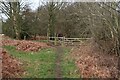 Path towards Neat's Close wood in Swanton Novers