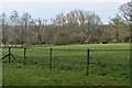 Fields and woodland below Brog Street in BH21 3ER