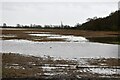 Fen Stanton: Flooded land in PE27 5EZ