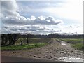 Fields south of Darby Road in DN15 9HS