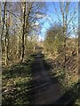 Path on the edge of Esh Winning in DH7 9PR
