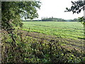 Low-lying farmland between canal and former gravel pits in B78 3TG