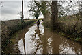 Horse In Flooded Road, Abbots Bromley in WS15 3DS