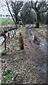 Footpath beside Speet Gill in CA7 9JH
