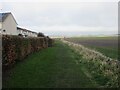 Grassy track on the edge of Anstruther in KY10 3JS