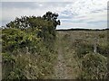 The bridleway near Hayle Kimbro Pool in TR12 7AU