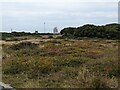 Heathland on Predannack Airfield in TR12 7AU