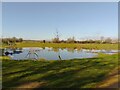 Pond near Sorrel Crescent, Didcot in OX11 6DP