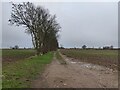 Track and farmland near Copston Magna in LE10 3HE