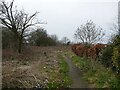 Path and waste ground off Cumberland Drive in NG19 6JU