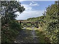 A gateway on the moorland track in TR12 6LQ