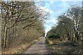 The Notts Wolds Way running south-east along the edge of Cotgrave Forest in NG12 5PG