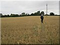 Footpath over stubble field toward Thrintoft in DL7 9TQ