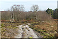 Heathland, Selborne in GU35 9JA
