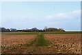 Footpath to Balsdon Hall Farm, Lavenham in CO10 9SH