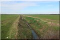 Ditch across Grunty Fen in CB6 3QD