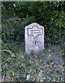Old Milestone by the UC road, east of Charlton Down in DT2 9FH