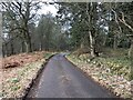 Minor road towards Blackfold in IV3 6LF