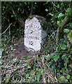 Old Milestone by the A352, south of Cerne Abbas in DT2 7GW