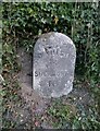 Old Milestone by the A352, Charlton Down in DT2 9UD