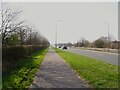 Cycle path beside East Lancashire Road (A580) in M29 7DY