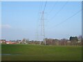 Grazing and power lines towards Hindford in M46 9AA