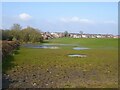 Waterlogged grazing beside Miller's Lane in M46 9AA
