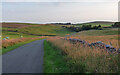 Country road near Sparklow in Hartington & Taddington Ward