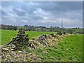 Broken drystone wall on Skew Hill in S35 8RD