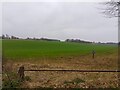 Farmland near Warren Farm in RG20 7JH