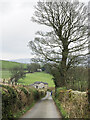 Narrow lane descending to North Lodge in LA8 0EZ
