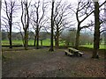 Picnic site in Tipping Hill Plantation in Ightenhill