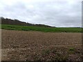 Elingpark Copse farmland in RG18 0ST