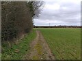 Footpath towards Bothampstead in RG16 0HB