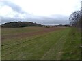 Footpath towards Great Ridge Copse in RG18 0SR