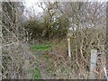 Footpath meets restricted byway in RG18 0SR