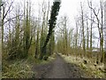 Cycle path on route of old railway in WN7 2YT