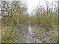 Track on former colliery railway in M46 9AA