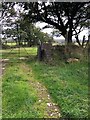 Gate and stile on a path east of Llanbedrog in Llanbedrog Community