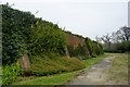 West wall of Shenley Park Walled Garden in WD7 7ED